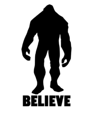 BIGFOOT BELIEVE Vinyl Decal Sticker Car Window Wall Bumper Sasquatch Yeti Funny